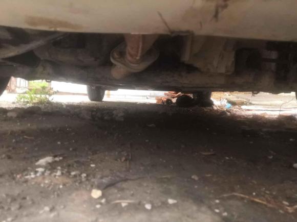 [南京·苏A] 二手铃木雨燕2013款 1.3L 手动超值版