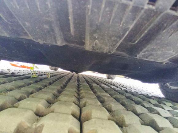 [嘉兴·浙F] 二手福特福睿斯2019款 1.5L 自动质享型