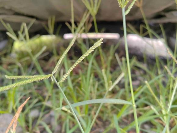 [上海·沪C] 二手大众朗逸2022款 280TSI DSG舒适版