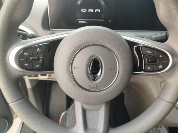 [西安·陕A] 二手欧拉欧拉白猫2020款 401km 长续航型