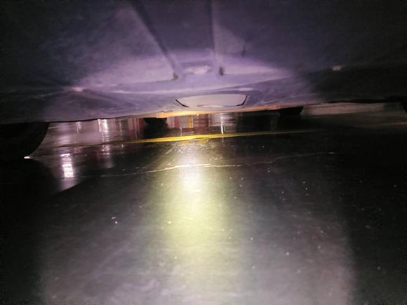 [广州·粤A] 二手菲亚特致悦2014款 1.4T 自动运动版