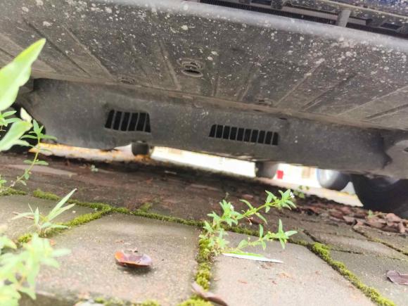 [佛山·粤E] 二手本田凌派2019款 180Turbo CVT豪华版 国VI