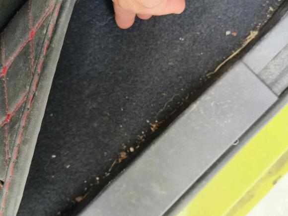 [苏州·苏E] 二手五菱汽车五菱NanoEV2021款 迪士尼疯狂动物城Nick款