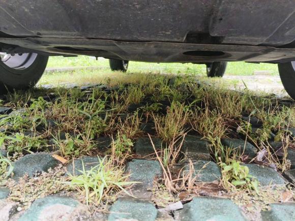 [苏州·新A] 二手长安长安CS75 PLUS2021款 1.5T 自动尊贵型