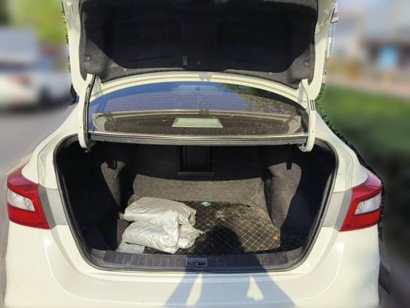 [合肥·皖A] 二手日产轩逸2018款 1.6XV CVT尊享版