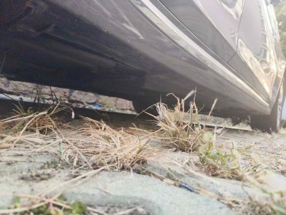 [青岛·鲁B] 二手英菲尼迪英菲尼迪Q50L2018款 2.0T 舒适版 国V