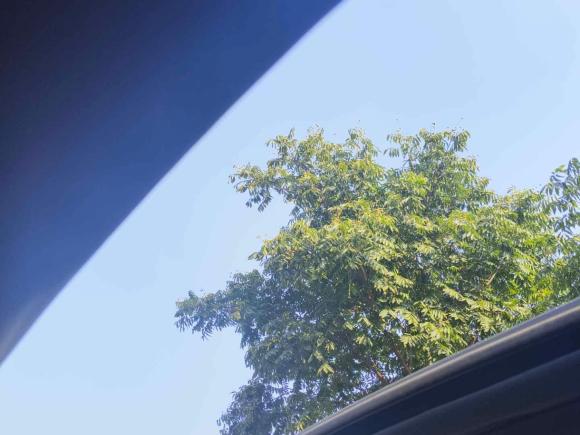 [湖州·浙E] 二手比亚迪秦PLUS2021款 EV 500KM 豪华型