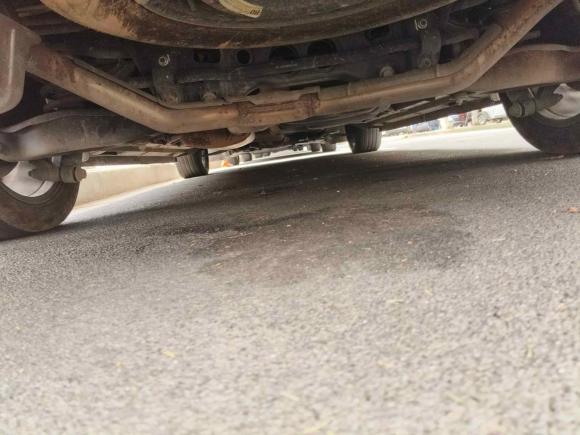 [上海·闽H] 二手广汽传祺传祺M82021款 大师系列 390T 尊贵版