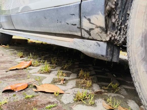 [上海·陕D] 二手东南东南DX32016款 1.5L 手动尊贵型