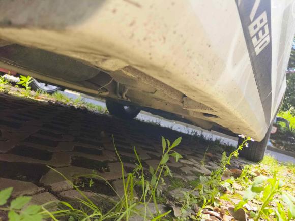 [上海·苏F] 二手奔腾奔腾B302016款 1.6L 自动豪华型