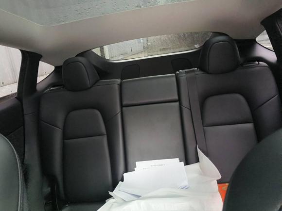 [合肥·皖A] 二手特斯拉Model Y2021款 标准续航后驱版