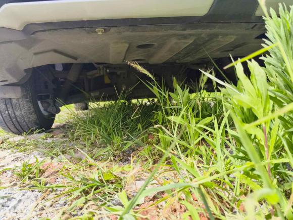 [杭州·浙A] 二手东风风行风行S50EV2021款 网约版