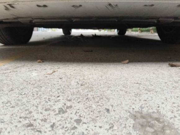 [上海·沪A] 二手大众朗逸纯电2019款 优享版