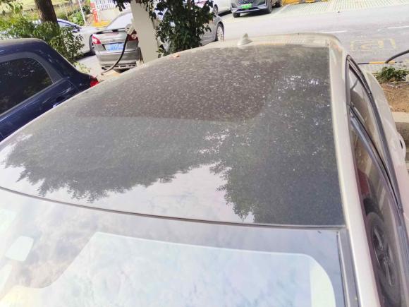 [杭州·浙A] 二手沃尔沃沃尔沃V402017款 T3 智尚版