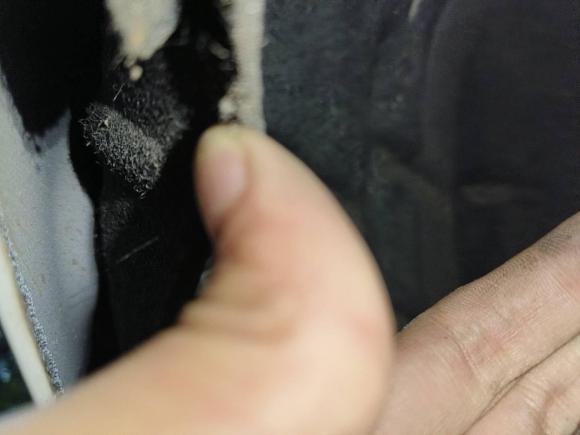 [宁波·浙B] 二手大众凌渡2018款 280TSI DSG舒适版