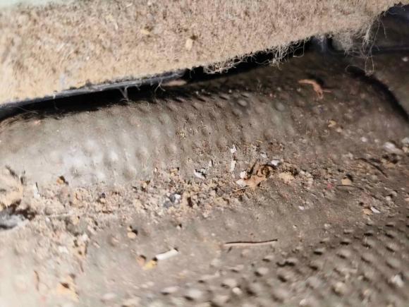 [武汉·鄂L] 二手猎豹汽车黑金刚2013款 2.2L 手动两驱标准型