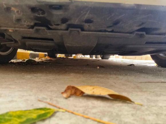 [深圳·粤B] 二手本田雅阁2018款 260TURBO 精英版 国VI