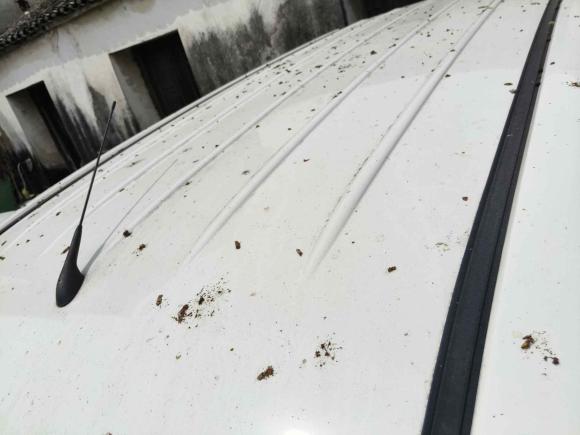 [温州·贵C] 二手五菱汽车五菱宏光2020款 1.2L S基本型国VI LSI