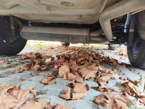 [南京·苏A] 二手铃木天语 尚悦2011款 1.6L 自动舒适型