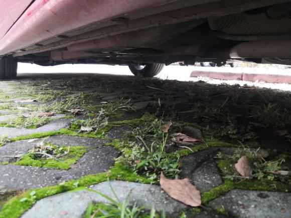 [南京·苏A] 二手菲亚特致悦2014款 1.4T 自动运动版