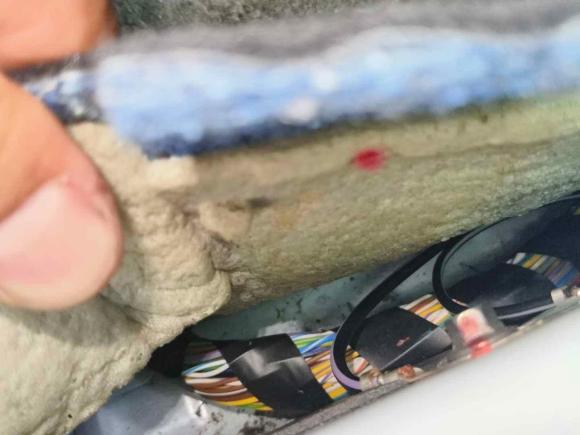 [成都·川F] 二手福特福克斯2017款 两厢 EcoBoost 180 自动精英型