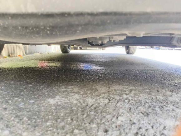 [上海·沪A] 二手欧拉欧拉白猫2020款 360km 豪华型