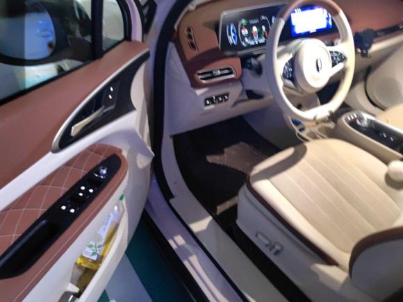 [北京·冀H] 二手欧拉欧拉好猫2022款 400km标准续航 尊贵型 三元锂