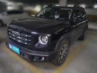 哈弗哈弗大狗2021款1.5TDCT两驱边牧版