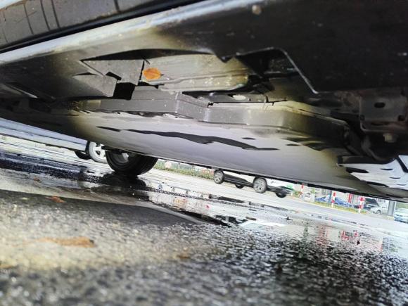 [温州·浙C] 二手比亚迪海豚2021款 401km 骑士版