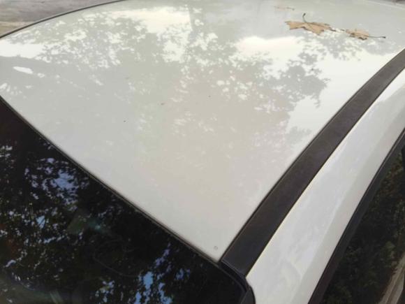 [嘉兴·浙F] 二手福特福克斯2012款 两厢 1.6L 自动舒适型