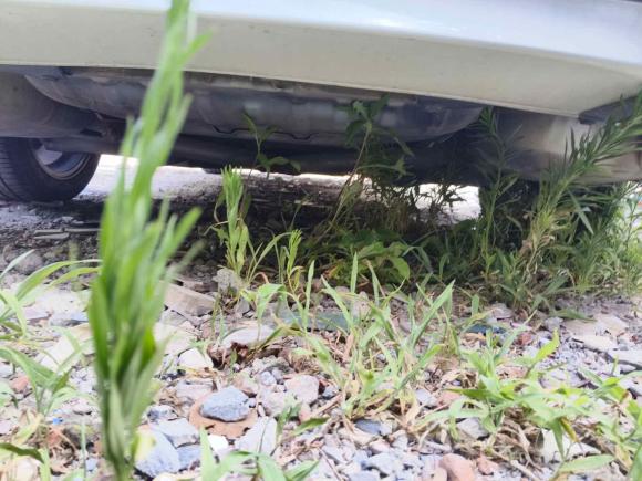 [上海·沪B] 二手本田雅阁2018款 260TURBO 精英版 国VI