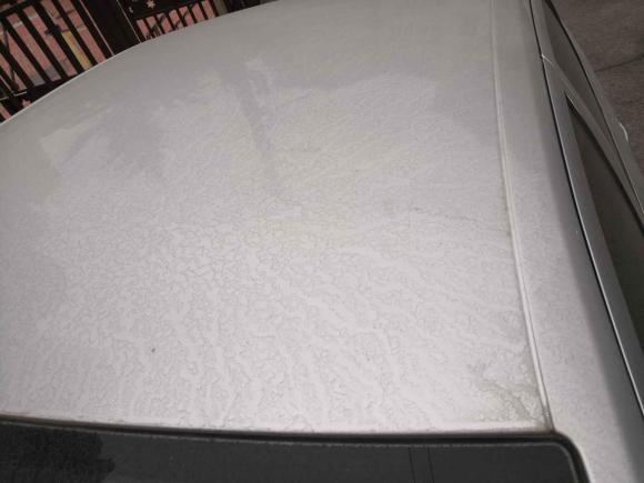 [青岛·鲁B] 二手斯柯达明锐2013款 2.0L 自动逸杰版