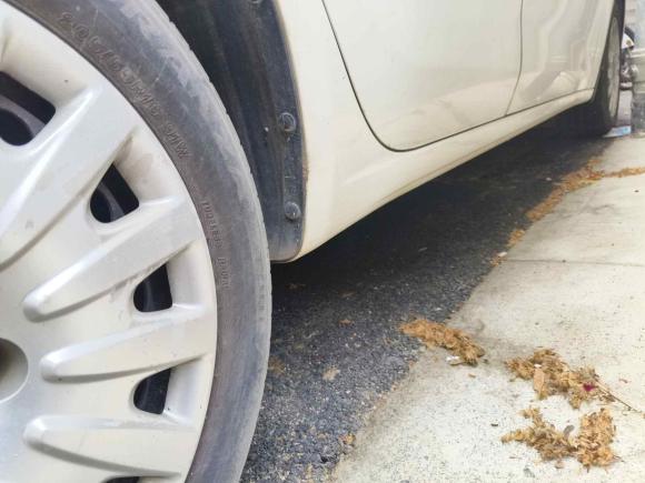 [南京·苏A] 二手菲亚特菲翔2015款 1.4T 自动悦享版