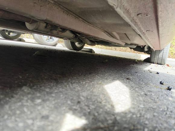 [上海·沪C] 二手马自达马自达62008款 2.0L 自动时尚型