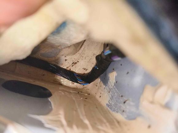 [合肥·皖B] 二手福特福睿斯2015款 1.5L 自动时尚型