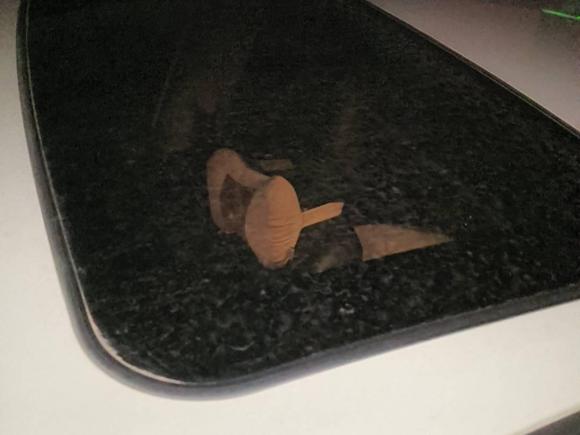 [深圳·粤N] 二手丰田雷凌2016款 双擎 1.8H GS E-CVT精英天窗版