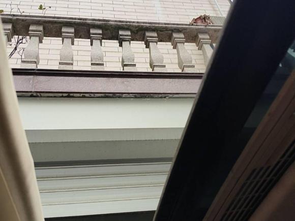 [湖州·苏U] 二手大众途安2008款 1.8T 智尊版自动5座