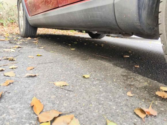 [南京·苏A] 二手铃木天语 SX42011款 两厢 1.6L 自动灵动型