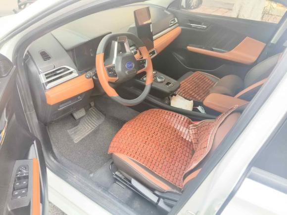 [温州·浙C] 二手比亚迪比亚迪e22021款 豪华型