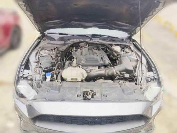 [合肥·皖A] 二手福特Mustang2021款 2.3L EcoBoost 黑曜魅影特别版
