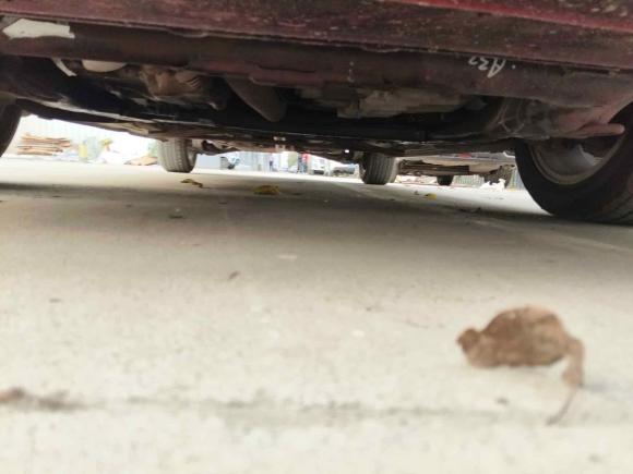 [西安·陕U] 二手本田思域2009款 1.8L 自动经典版