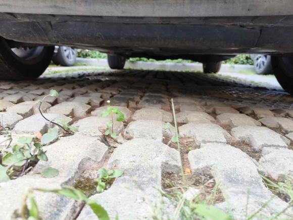 [佛山·粤Y] 二手本田本田XR-V2015款 1.8L EXi  CVT舒适版