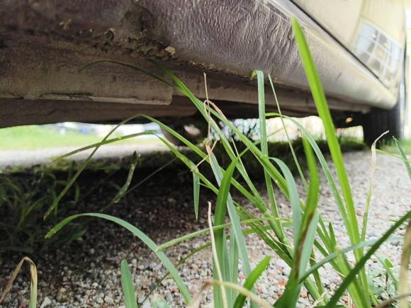 [佛山·湘N] 二手大众朗逸2015款 1.6L 自动风尚版