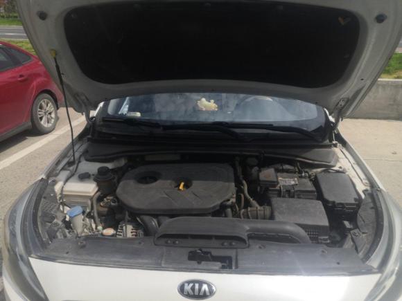 [湖州·浙E] 二手起亚起亚K42014款 1.8L 自动GLS