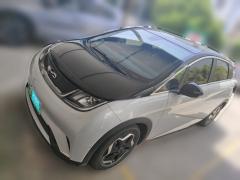 [湖州·浙E]比亚迪&nbsp;&nbsp;海豚&nbsp;&nbsp;2021款405km时尚版