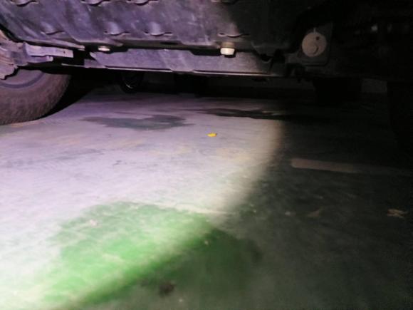 [南京·苏A] 二手坦克坦克3002021款 越野版 2.0T 征服者