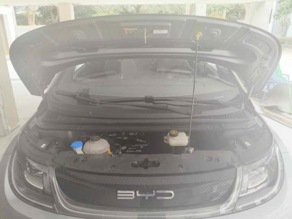 [宁波·浙B] 二手比亚迪海豚2023款 420km 自由版