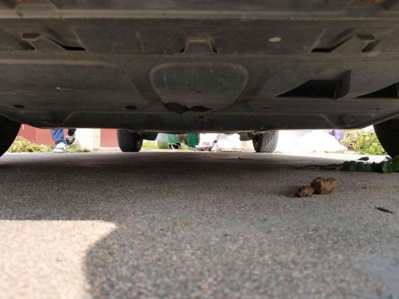 [上海·沪C] 二手大众朗逸2008款 1.6L 自动品悠版