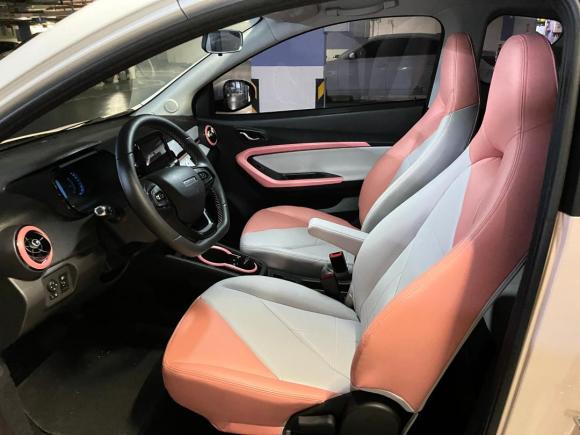 [佛山·粤A] 二手奇瑞新能源小蚂蚁2022款 甜粉款 半糖版 磷酸铁锂 30kW 301km