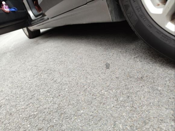 [上海·沪D] 二手福特蒙迪欧2013款 1.5L GTDi180时尚型